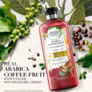 Herbal Essences bio:renew Arabica Coffee Fruit Shampoo (400ml)